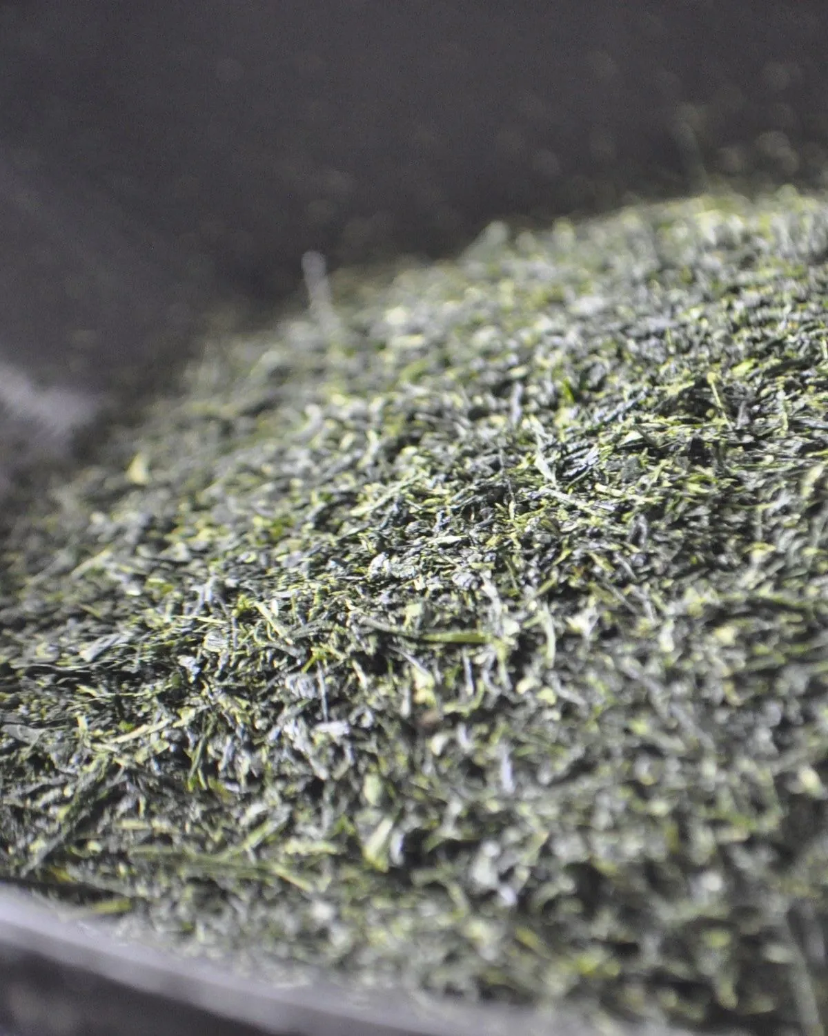 Chiran Asatsuyu finished tea leaves — fukamushi processed, the natural gyokuro cultivar